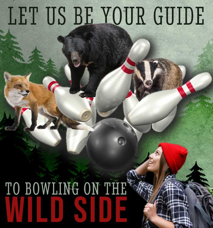 bowling-on-the-wild-side